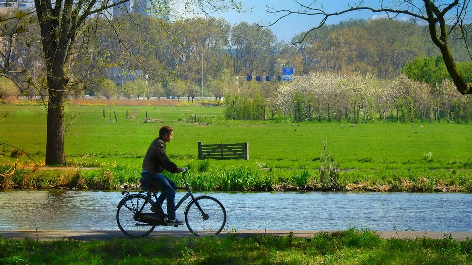 Naukowcy apelują - więcej aktywności fizycznej!